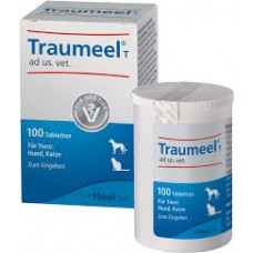 Heel Traumeel tablets for problems with the support and musculoskeletal system. homeopathy